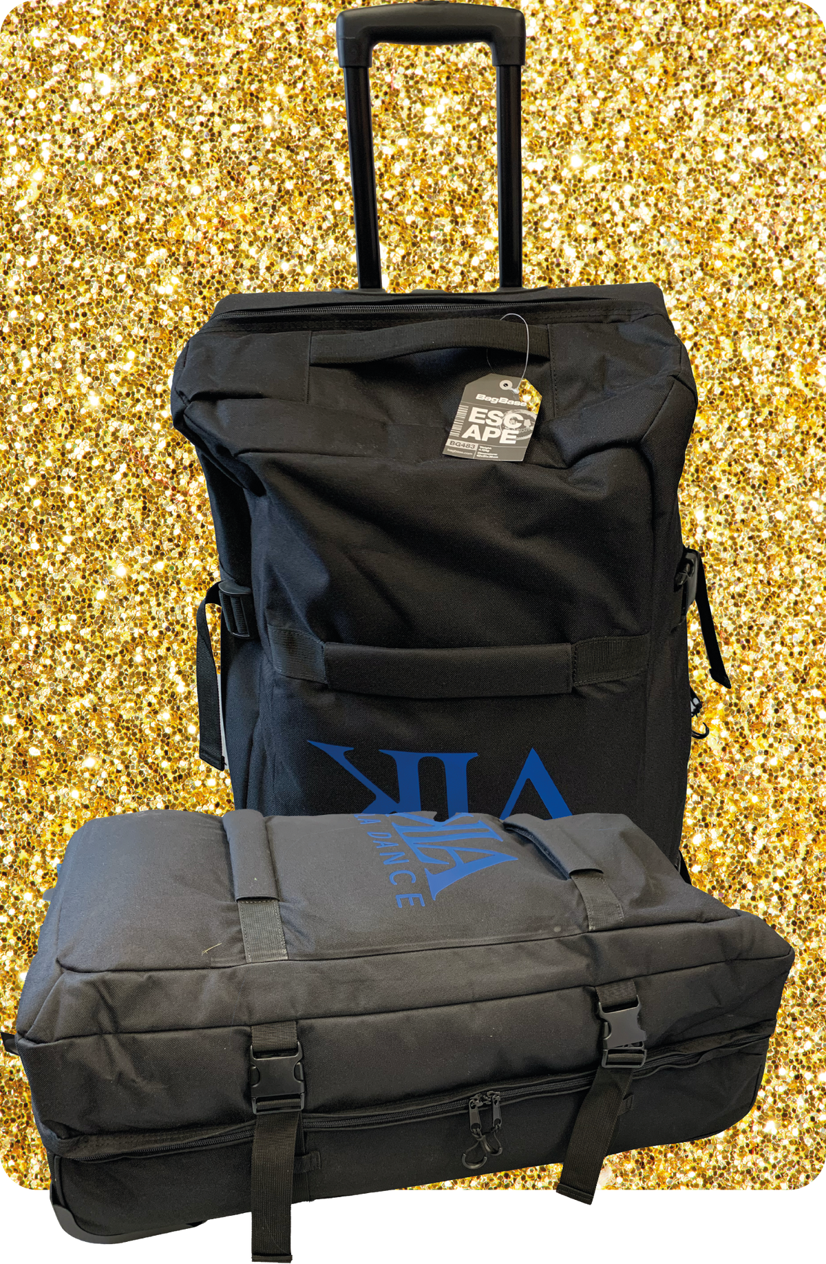 Cases & Bags